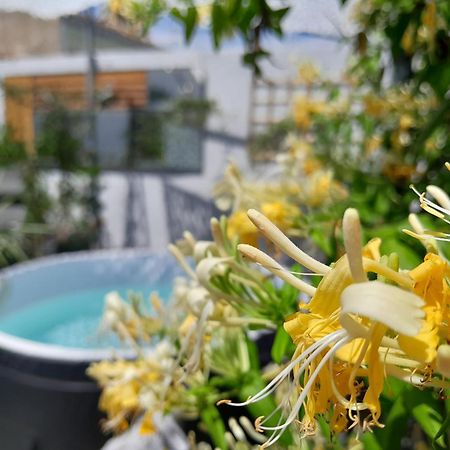 Le Petit Patio Bed and Breakfast Aigues-Mortes Eksteriør billede