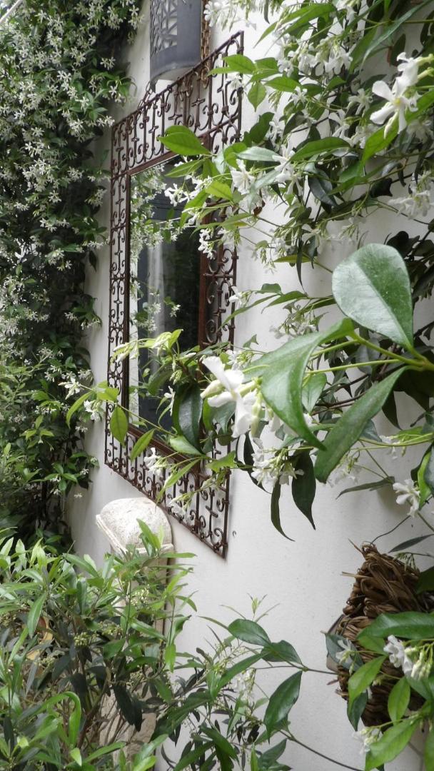Le Petit Patio Bed and Breakfast Aigues-Mortes Eksteriør billede
