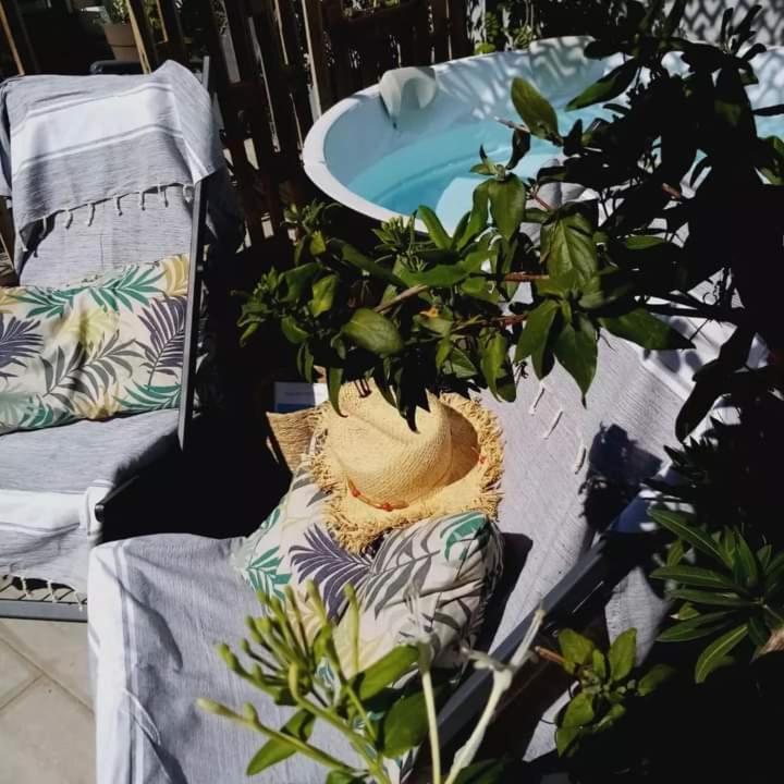 Le Petit Patio Bed and Breakfast Aigues-Mortes Eksteriør billede