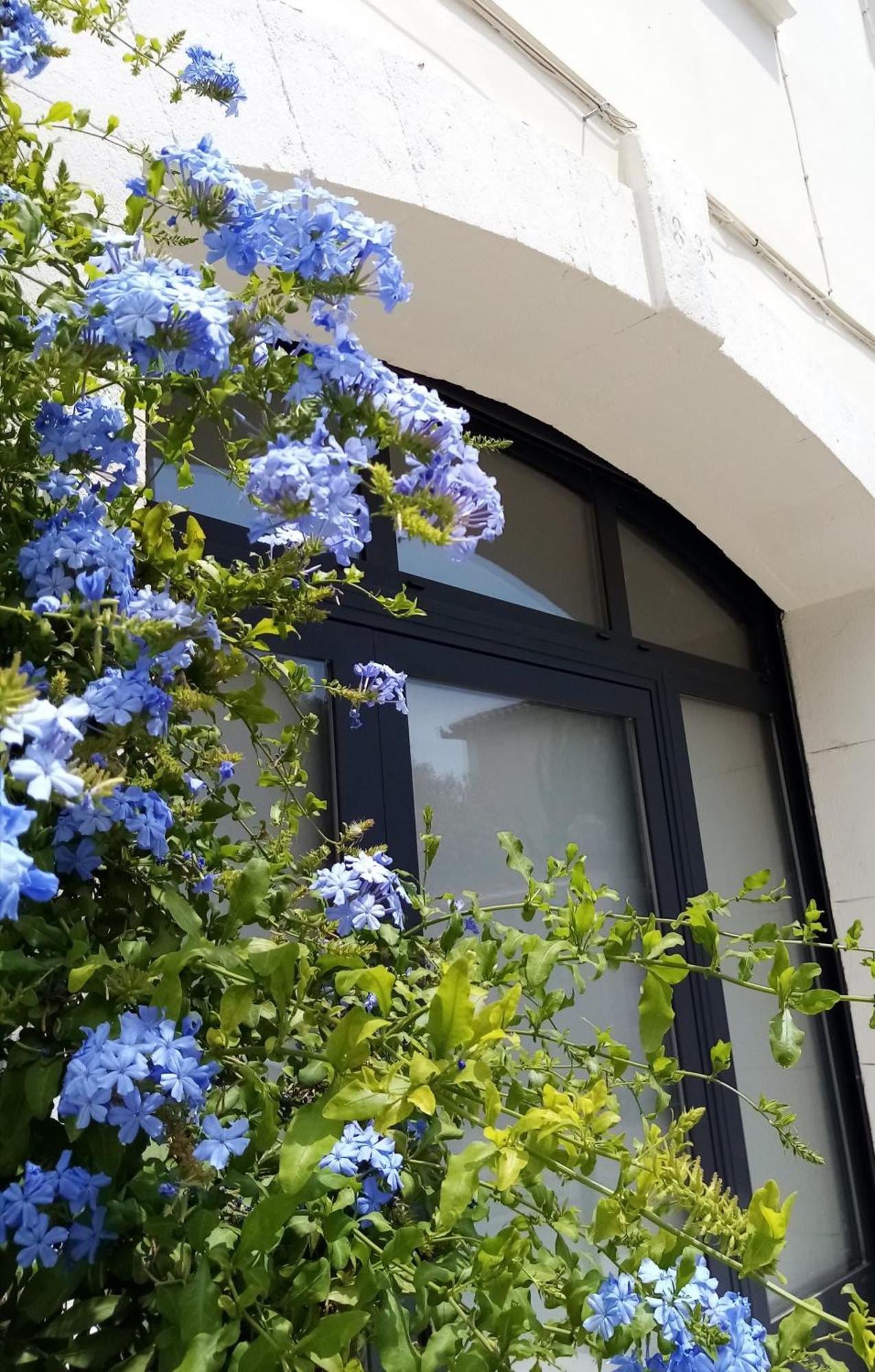 Le Petit Patio Bed and Breakfast Aigues-Mortes Eksteriør billede