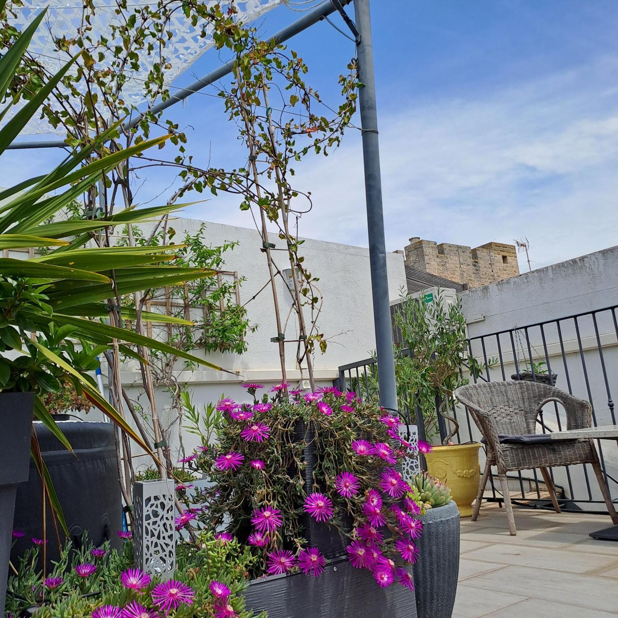 Le Petit Patio Bed and Breakfast Aigues-Mortes Eksteriør billede